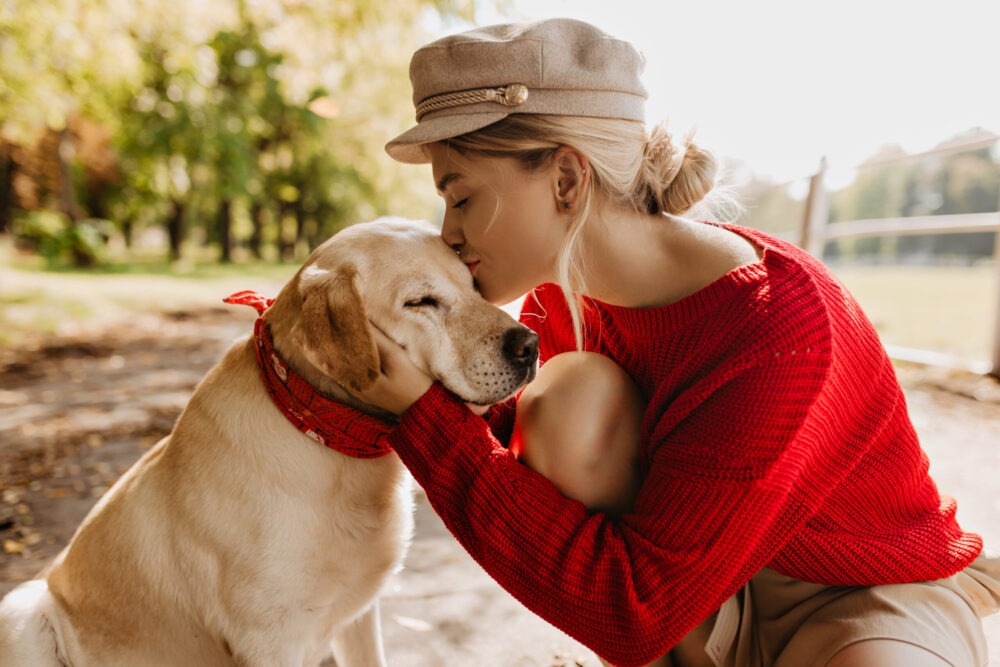 Holistic Wellness For Your Canine Companion